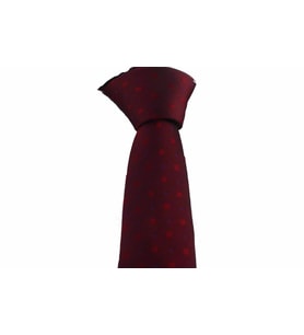 Brianze Bordo Nokta ve Kare Desenli Slim Kravat SKP-10