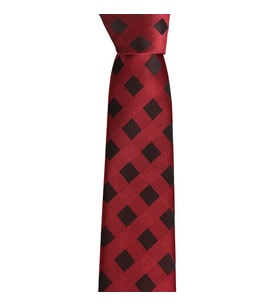 Brianze Siyah Kareli Bordo Slim Kravat SKS-3 (Çok Renkli)