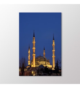 Arty Tablo Selimiye Camii Tablo (Karışık)