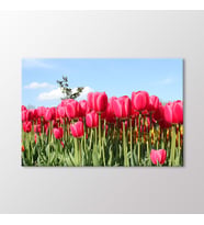 Arty Tablo Laleler Tablo (Karışık)