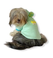 Su Yeşili Kelebek Kapşonlu Sweat by Kemique Köpek Kazağı 