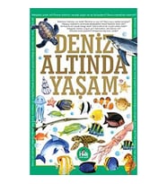 Deniz Altında Yaşam