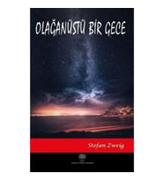 Olağanüstü Bir Gece