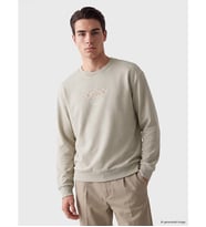 LC WAIKIKI Gri Bisiklet Yaka Nakışlı Sweatshirt