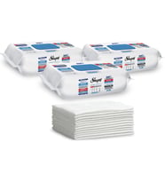 Easy Clean Premium Çamaşır Suyu Katkılı Yüzey Temizlik Havlusu Mendili 3x100 (300 Yaprak)