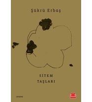 Sitem Taşları
