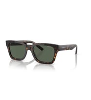 Arnette AN4334 122271 53 Unisex Güneş Gözlüğü