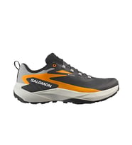 Salomon Genesis Gore Tex Erkek Outdoor Koşu Ayakkabısı L47976200 Siyah