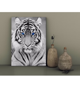 BK Home Tiger Tasarımlı Kanvas Tablo-1