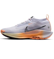 Nike Pegasus Trail 5 Goretex Womens Running Shoes Su Geçirmez Reflektörlü Kadın Doğa Yürüyüş Koşu Ayakkabısı Lila
