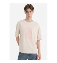 Defacto %100 Pamuk Taş Erkek T-Shirt F9691AX/ER22