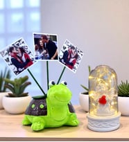 Sizlere Özel 3 Fotoğraflı Kaplumbağa Saksı ve Led Işıklı Beyaz Melekli Fanus (Yeşil)