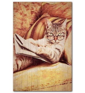 CakatabloRetro Gezete Okuyan Kedi Baskılı Görsel MDF Tablo