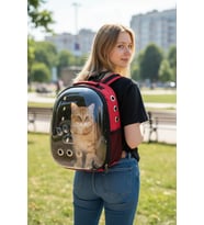 ZEKTON Astronot Kedi Taşıma Çantası Şeffaf Kırmızı 34x26x40 cm - 9 Hava Kanallı Sarsılmaz Taban - Hediye Kedi Tasmalı