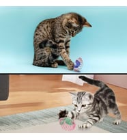 Yaylı Metal Fareli Kafes Kedi Oyun Topu Sıçrayan Spiral Kedi Topu