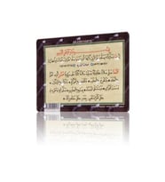 Salaten Nariye (Magnet)
