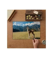 Sevimli Yavru Lama Tasarımı 240 parça Ahşap Puzzle Ahşap Kutuda MP10155
