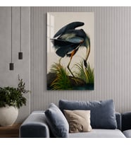 John James Audubon Büyük Mavi Balıkçıl Kuşu Temperli Cam Dekoratif Duvar Tablosu