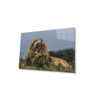Aslan Cam Tablo 4mm Dayanıklı Temperli Cam (Çok Renkli)