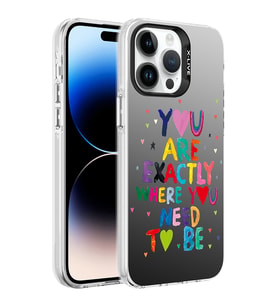 Apple iPhone 14 Pro Max Kılıf Desenli Zore Silver Sert Kılıf You