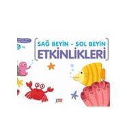 Minik Ada Sağ Beyin Sol Beyin Etkinlikleri 6 Yaş