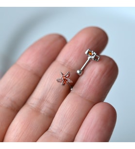 Deniz Yıldızı Helix Piercing Kıkırdak Cerrahi Çelik Gümüş Renk (Çok Renkli)