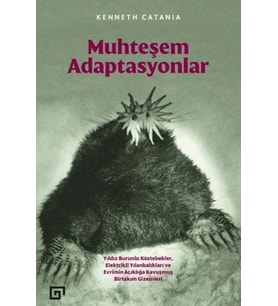 Muhteşem Adaptasyonlar