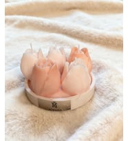 RÜWÜZEL PEMBE LALE SOYA WAX SERİSİ