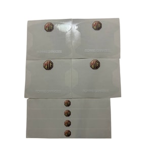 MG Marka Logolu Oto Kapı Kolu Çizik Önleyici Yapışkan 8'li Set Morris Garages