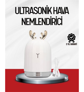 Northcity El Tipi USB Mini Soğuk Mist Nemlendirici - 220ml Taşınabilir Nemlendirici