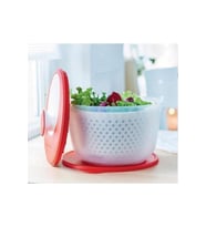 Modern Salatacı (salata Kurutucu)
