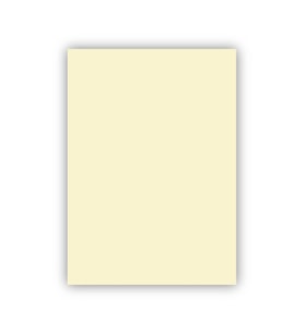 Bigpoint Fon Kartonu 50x70cm 160 Gram Fildişi x 100 Adet