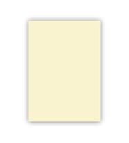 Bigpoint Fon Kartonu 50x70cm 160 Gram Fildişi x 100 Adet