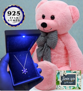 80 cm Pembe Peluş Ayıcık ve Işıklı Kutusunda 925 Ayar Gümüş Kolye (Model 1)
