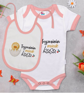 BK Kids Teyzesinin Minik Kuşu Tasarımlı Pembe Bebek Body Zıbın ve Mama Önlüğü Hediye Seti-1