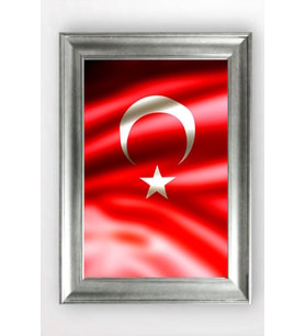 GÜMÜŞ ÇERÇEVELİ TABLO A1266