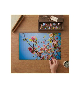 Kiraz Çiçeği Dalları Yakın Çekim Tasarımı 240 parça Ahşap Puzzle Ahşap Kutuda MP05656