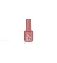 Golden Rose Color Expert Naıl Lacquer No:119