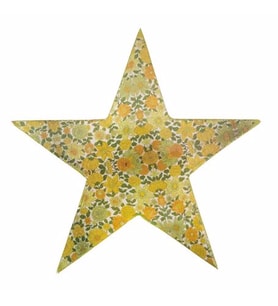 Vitale Şiva Çiçek Desenli Dekoratif Yıldız Yeşil 25x4 cm AK.FQ0017-Y