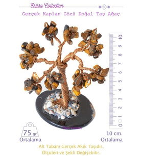 Sertifikalı Gerçek Kaplan Gözü Doğal Taşı Ağaç - Akik Plakalı (Çok Renkli)