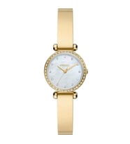 Fossil FBQ3895 Kadın Kol Saati