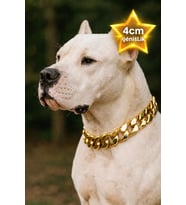KÖPEK KALIN ZİNCİR TASMA GÜMÜŞ ALTIN KÖPEK TASMA KOLYE