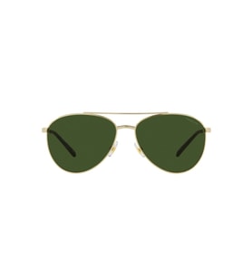 Arnette AN 3085-739/71 58*15 145
