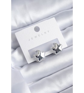 Gümüş Renk Yıldız Model Yıldız Model Pirinç Kadın Küpe 5886 - HPSBYI4362-2849