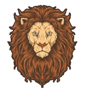 Aslan Sticker Araba Oto Motorsiket 19CM