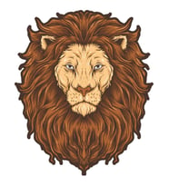 Aslan Sticker Araba Oto Motorsiket 19CM