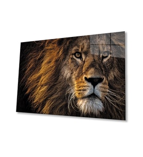 Aslan 11 Cam Tablo