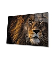 Aslan 11 Cam Tablo