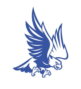Kartal Sticker17x17 Cm Mavi