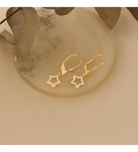 925 Ayar Gümüş Taşlı Yıldız Küpe (Gold)